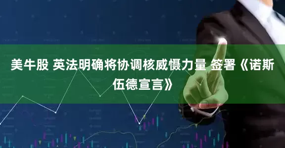 美牛股 英法明确将协调核威慑力量 签署《诺斯伍德宣言》