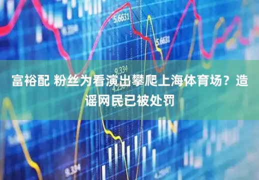 富裕配 粉丝为看演出攀爬上海体育场？造谣网民已被处罚