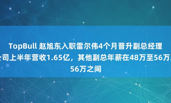 TopBull 赵旭东入职雷尔伟4个月晋升副总经理，公司上半年营收1.65亿，其他副总年薪在48万至56万之间