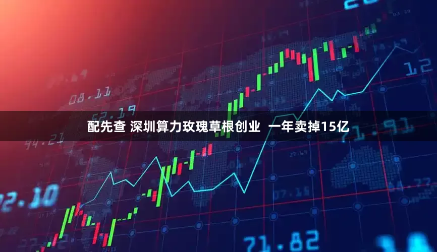 配先查 深圳算力玫瑰草根创业 一年卖掉15亿